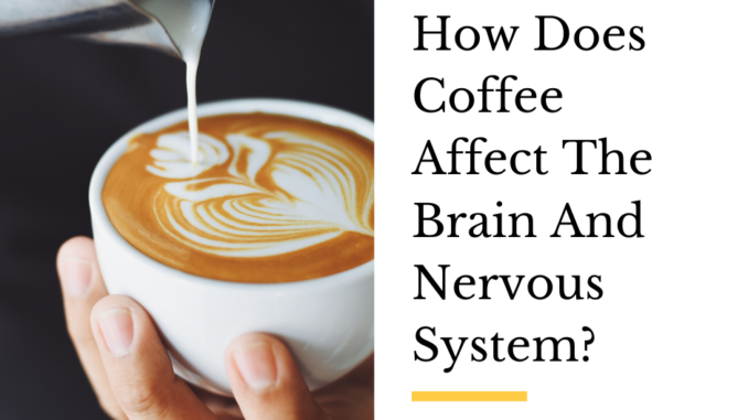 How Does Coffee Affect The Brain And Nervous System